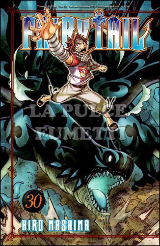 YOUNG #   224 - FAIRY TAIL 30